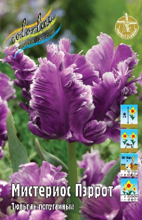 Мистериос Пэррот 11/12 (попуг.) 7шт