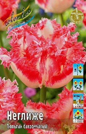 Неглиже 11/12 (бахр.) 7шт