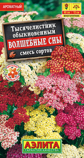 Волшебные сны Ц(А)