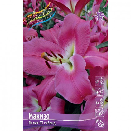 Макизо 12/14 (ОТ) 5шт