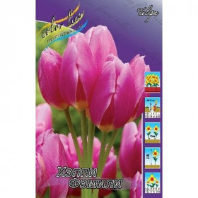 Хэппи Фэмили 10/11 (мнгцв.) 10шт