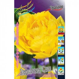 Экзотик Сан 11/12 (2й эффект) 5шт