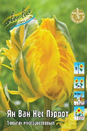 Ян Ван Нес Пэррот 11/12 (попуг.) 7шт