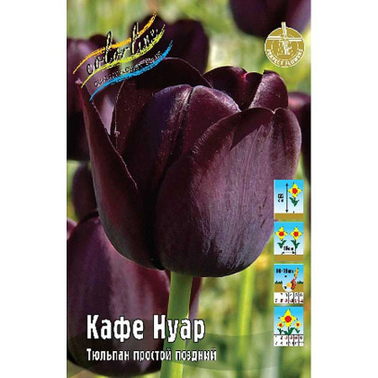 Кафе Нуар 11/12 (пр.поздн.) 7шт