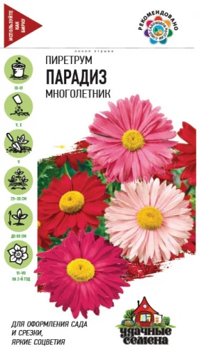 Парадиз УС(Г)