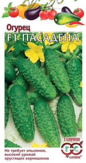 Пасадена Ц(Г)