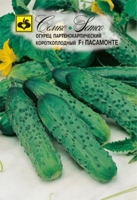 Пасамонте (Семко)