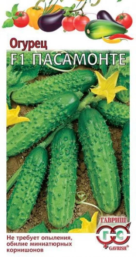 Пасамонте Ц(Г)