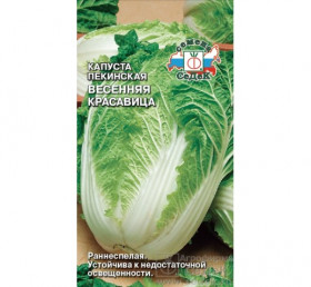 пекинская Весенняя красавица Ц(С)