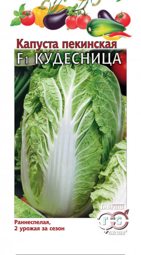 пекинская Кудесница Ц(Г)