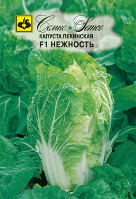 пекинская Нежность Семко