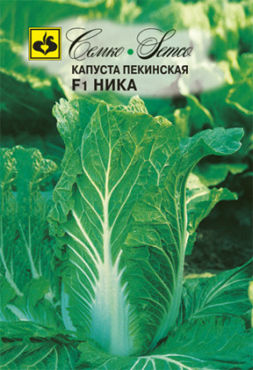 пекинская Ника (Семко)