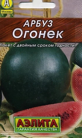 Огонек Лидер