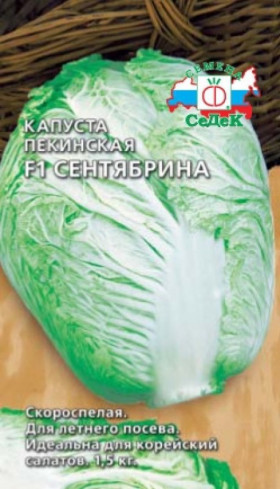 пекинская Сентябрина Ц(С)