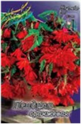 Пендула Оранжевая 3шт