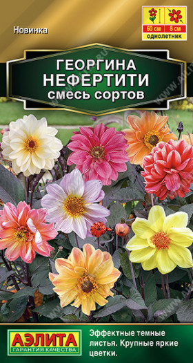 Нефертити смесь Ц(А)