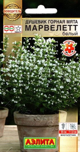 Горная мята марвелетт белый Ц(А)