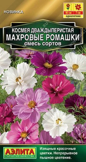 Махровые ромашки смесь Ц(А)