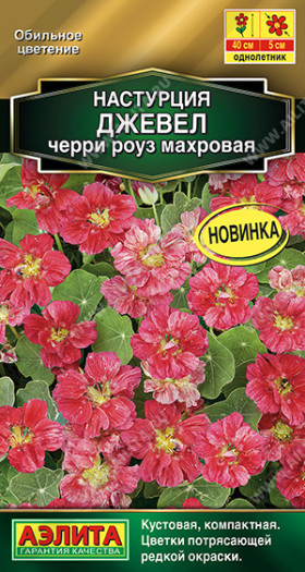 Джевел черри роуз махровая Ц(А)