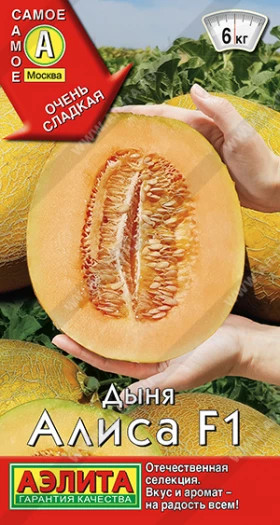 Алиса 10шт Ц(А)