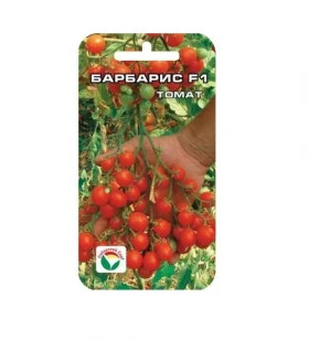 Барбарис 15шт СС
