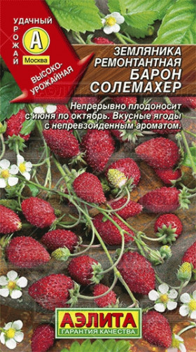 Барон Солемахер ремонт. Ц(А)