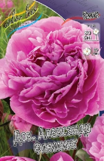 Д-Р Александр Флэминг 1шт