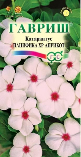 Пацифика ХР Априкот Ц(Г)