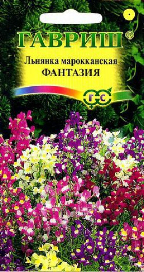 Фантазия Ц(Г)