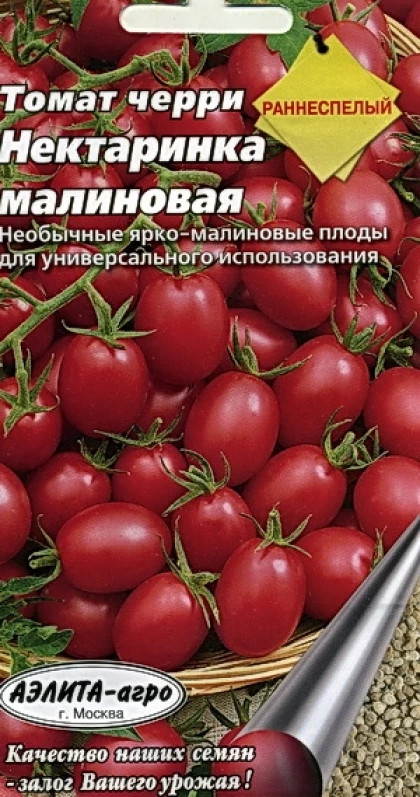 томат малиновый черри