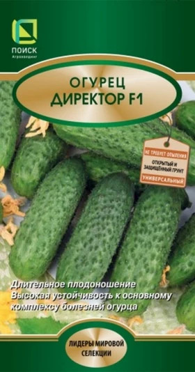 Директор 5шт Ц(Поиск)