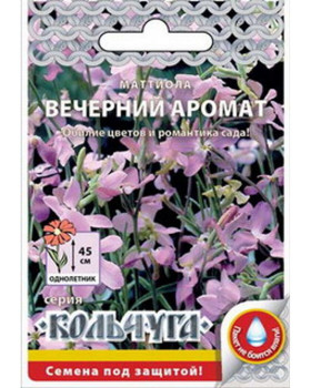 Вечерний аромат Кольчуга