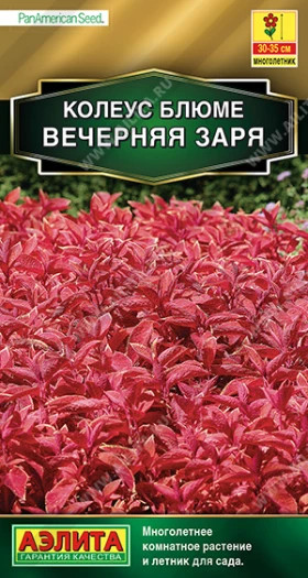 Вечерняя заря Ц(А)