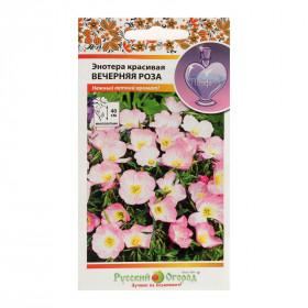 Вечерняя роза Ц(Н)