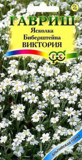 Виктория Биберштейна Ц(Г)