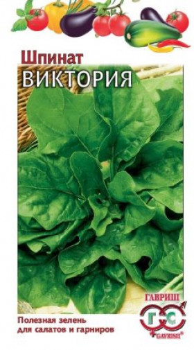 Виктория Ц(Г) шпинат