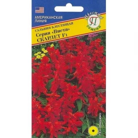 Виста Скарлет Ц(П)