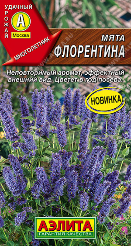 Флорентина Ц(А)