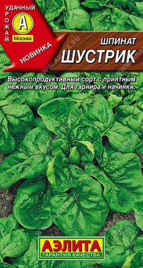 Шустрик Ц(А) ()