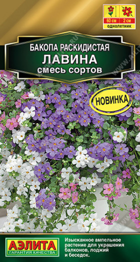 Лавина смесь раскидистая Ц(А)