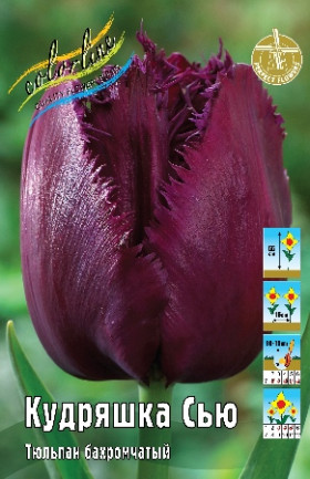 Кудряшка Сью 11/12 (бахр.) 7шт