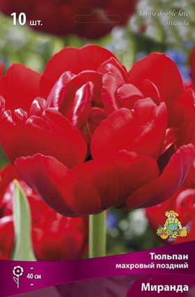 Миранда 10/11 (махр.поздн.) 10шт