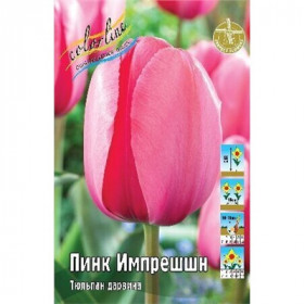 Пинк Импрешшн 10/11 (дарв.) 10шт