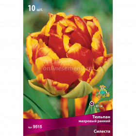 Силеста 11/12 (махр.ранн.) 7шт