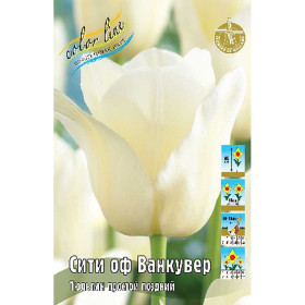 Сити оф Ванкувер 11/12 (пр.поздн.) 8шт