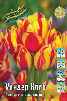 Уандер Клаб 11/12 (мнгцв.) 7шт