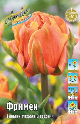 Фримен 11/12 (махр.поздн.) 8шт