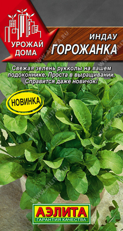 Рукола Горожанка (индау) Ц(А)