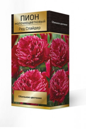 Ред Спайдер 1шт Поиск