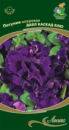 Дабл Каскад Блю Ц(Поиск)